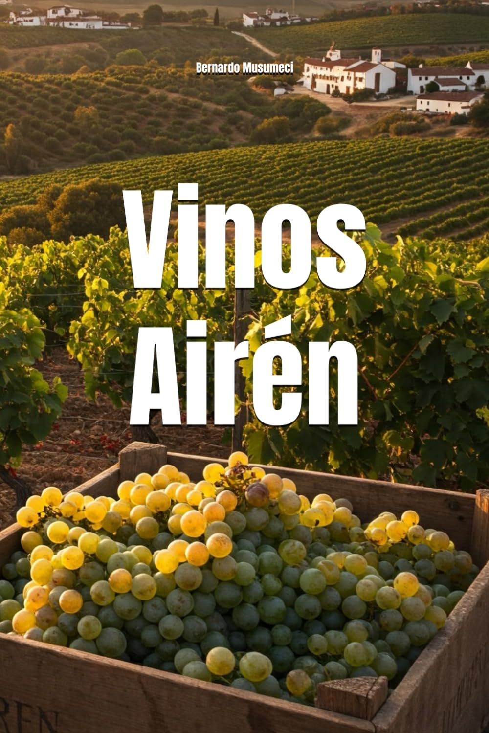 Vinos Airén (Wines of the World: Spain)