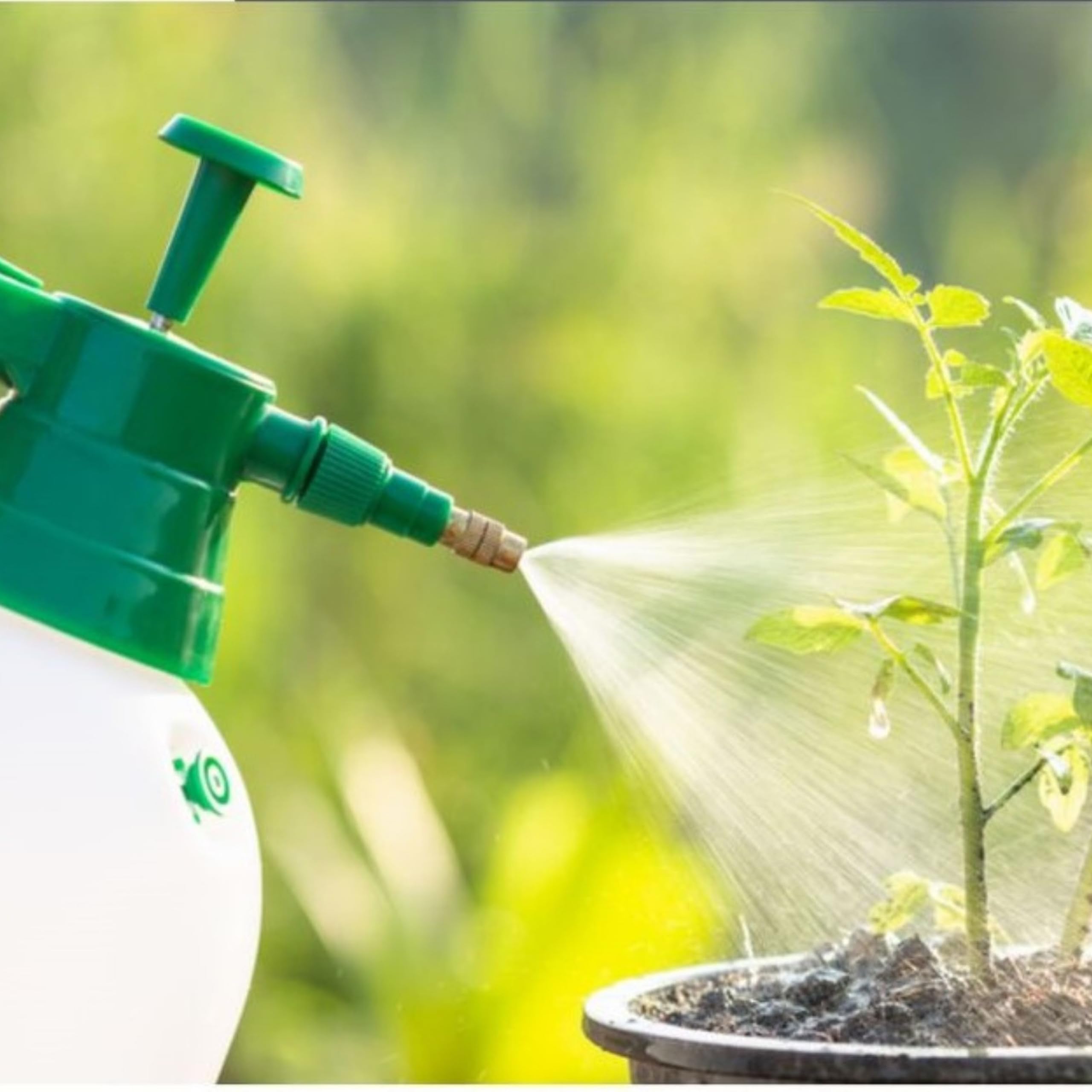Purin d'Ortie concentré pour Plantes 5L - Action Fongicide, Insecticide et Acaricide - Correcteur de Carences en Fer (chlorose ferrique)