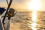 PENN Spinfisher VII | Moulinet à Tambour pour la pêche en Eau salée avec étanchéité IPX5 | Frein HT-100 pour la pêche en Bateau, la pêche en mer et la pêche dans Les rochers | Taille 4500 | Or Noir - 2