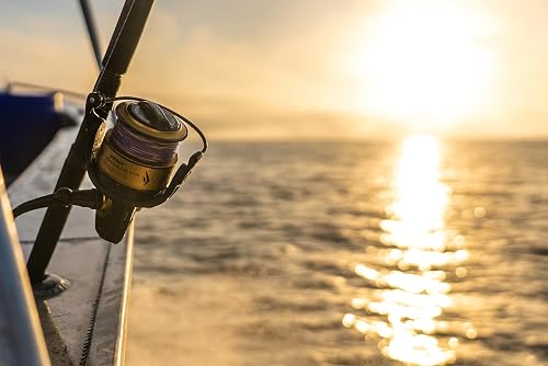 PENN Spinfisher VII | Moulinet à Tambour pour la pêche en Eau salée avec étanchéité IPX5 | Frein HT-100 pour la pêche en Bateau, la pêche en mer et la pêche dans Les rochers | Taille 4500 | Or Noir - 2