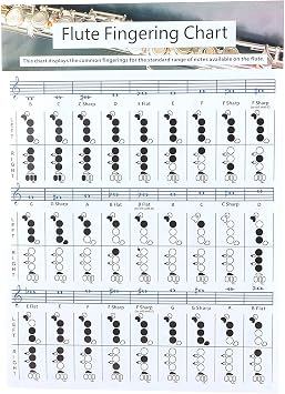 Ruining Flute Fingering Chart, Smooth White Good Inking Performance Standard Practice Chart for Students Teaching Aids InstrumentFlute Table Large 5640cm Ruiningxdaue3bg4y7084-11