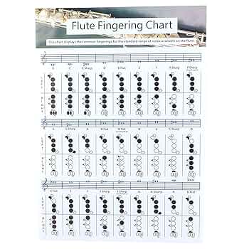 CHOROi C-フルート　ドイツ運指 みるみる分かる！フルートのための「ドイツ音名」徹底解説