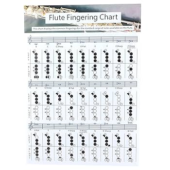 CHOROi C-フルート　ドイツ運指 C-フルート コロイフィンガー(OCTA)[教材][楽器]
