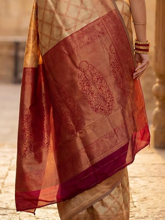 Ornate Zari Border Craftsmanship Details and Pallu Draping Motion