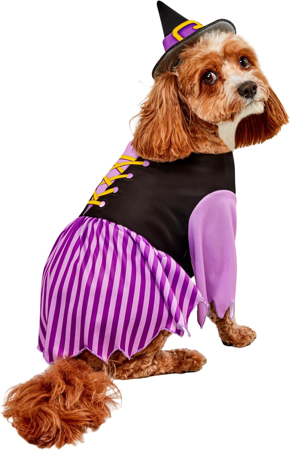 Disfraz de Bruja para Perros Rubies, Talla Grande