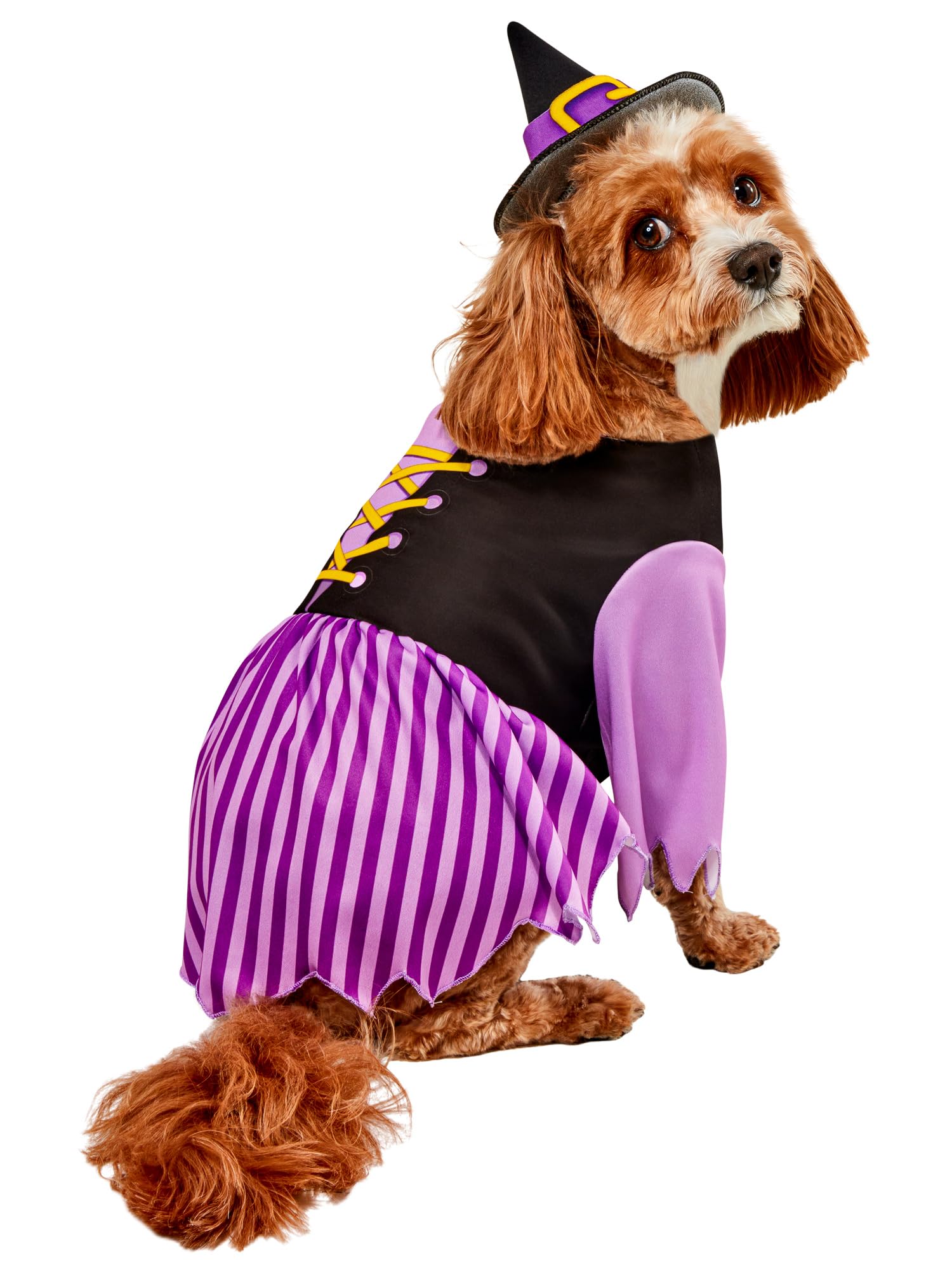 Costume de sorcière pour animal avec chapeau stable et robe légère en taille L