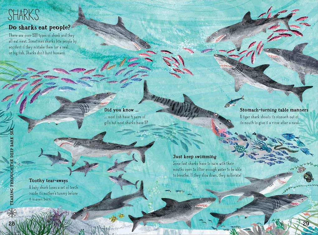 The Big Book of the Blue - Image 5