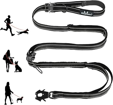 Detachable Heavy Duty Tactical Dog Leash, 9.7FT Hand-Free Bungee Shock Absorption Leash with Padded Handle Quick Release Metal Clip Car Seatbelt No Pull Training Lead for Medium & Large Dogs Black