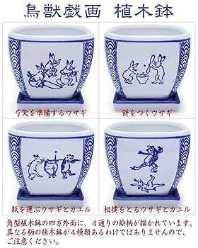 染付鉢髙山寺、鳥獣戯画、盆栽鉢、染付鉢、植木鉢、四方鉢、六角鉢、2鉢セット 71NvKoqRl0L._UF894,1000_QL80_.jpg