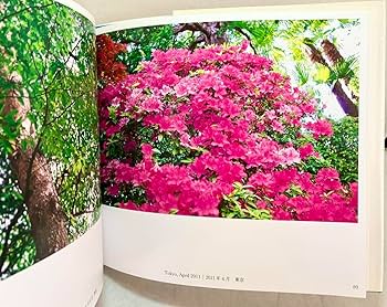 Amazon.co.jp: 池田大作写真集 花謳う 押印入り 創価学会
