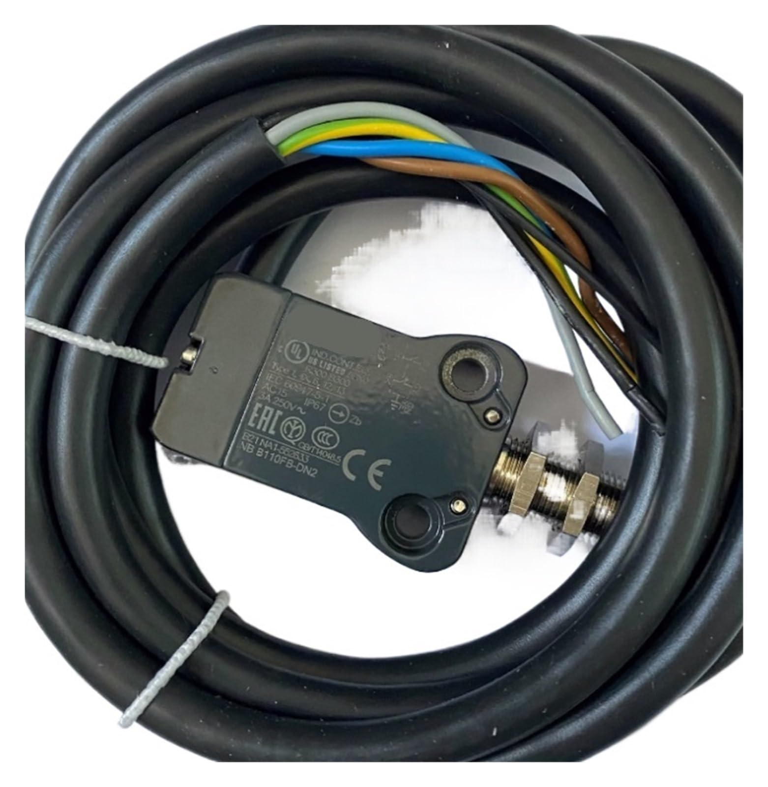 TADZKKIWM B110FB-DN2 Limit Switch