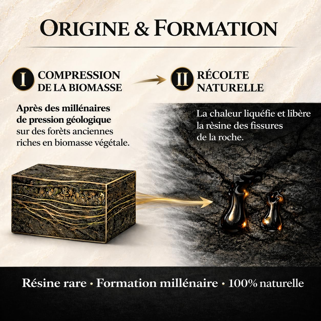 Shilajit Résine Premium 50g – 100% Naturel Sans Additifs – Purifié Authentique Himalaya – 70% Acide Fulvique Qualité Testée en Laboratoire UE – Secret Des Sommets Ayurvédique