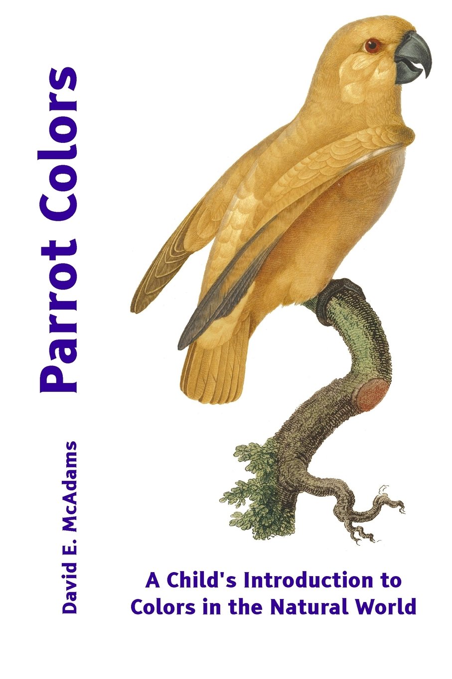 Parrot Colors: Large Print Edition