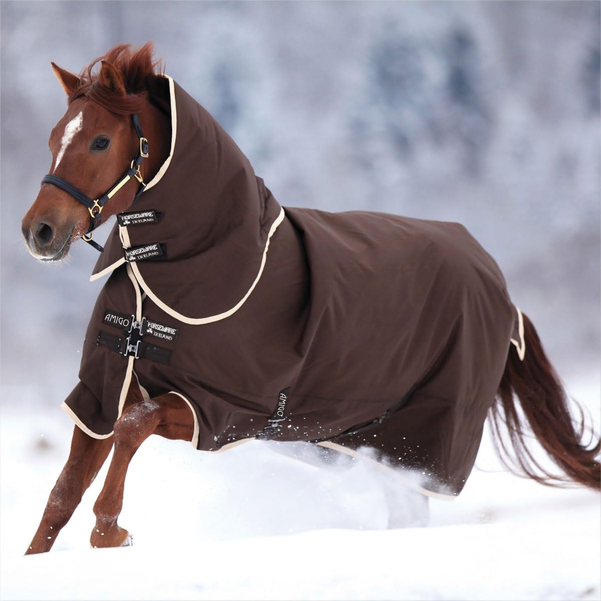Horseware Amigo Bravo T/O Blanket 250g 69 Navy