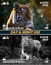 Night Vision Goggles with Head Strap, 1312FT Head-Mounted Night Vision Binoculars, Hands-Free Nightvision Goggles for Helmet, Long Rang Infrared Nightvision for Adults, 8X Digital Zoom/ 32GB SD Card gallery image