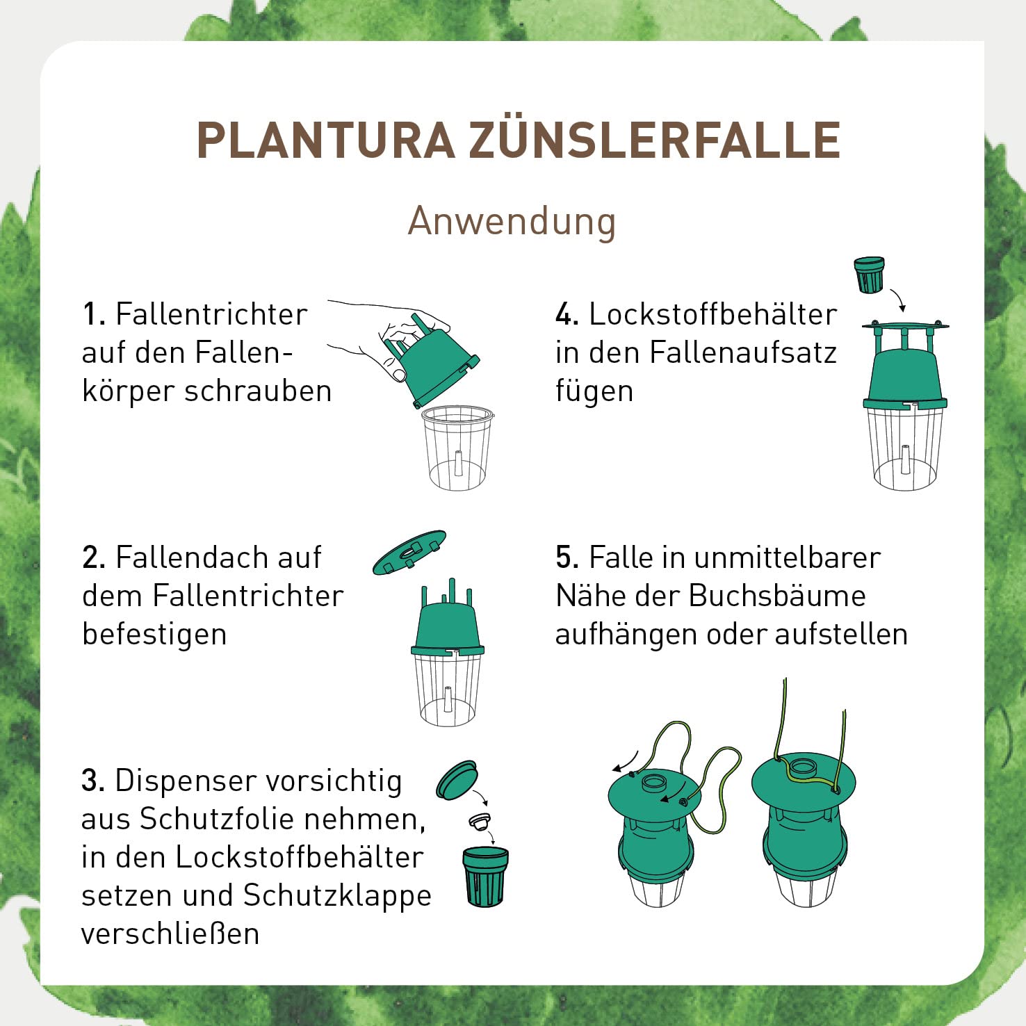 Plantura Zünslerfalle, insektizidfreie Pheromonfalle für Buchsbaumzünsler, 2 Stück