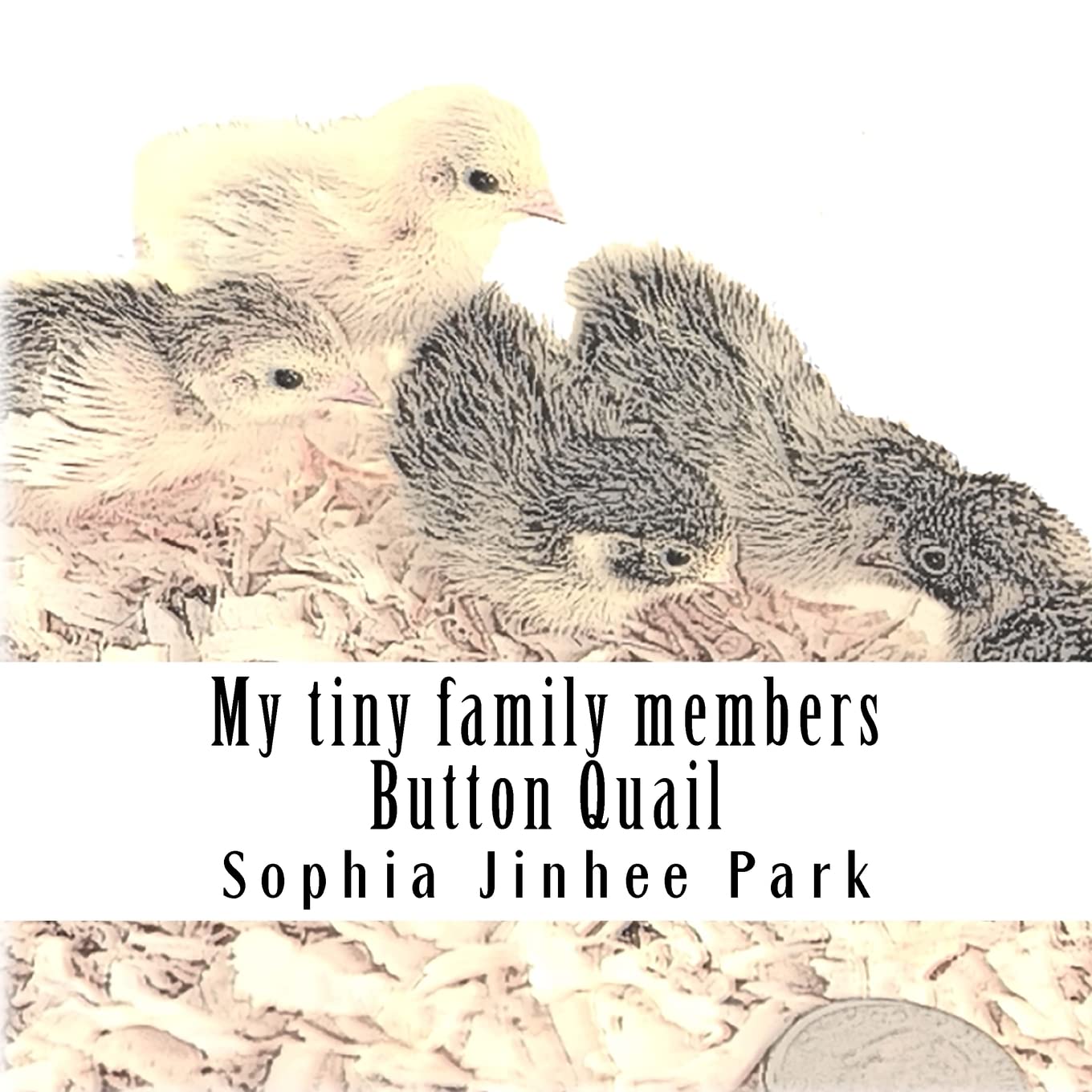 My tiny family members: Button Quail