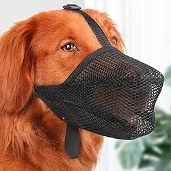 Focinheira preta para cães, design respirável ajustável, adequada para cães pequenos/médios (caminhadas diárias/cuidados pessoais/visitas ao veterinário)