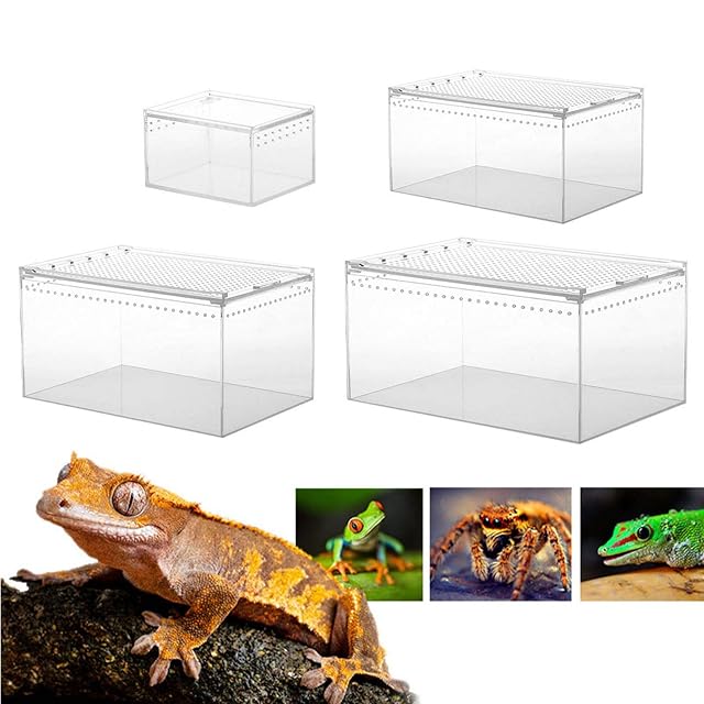 Caja transparente para reptiles, acrílico, para cría reptiles, para reptiles, lagarto, escorpio, ciempiés