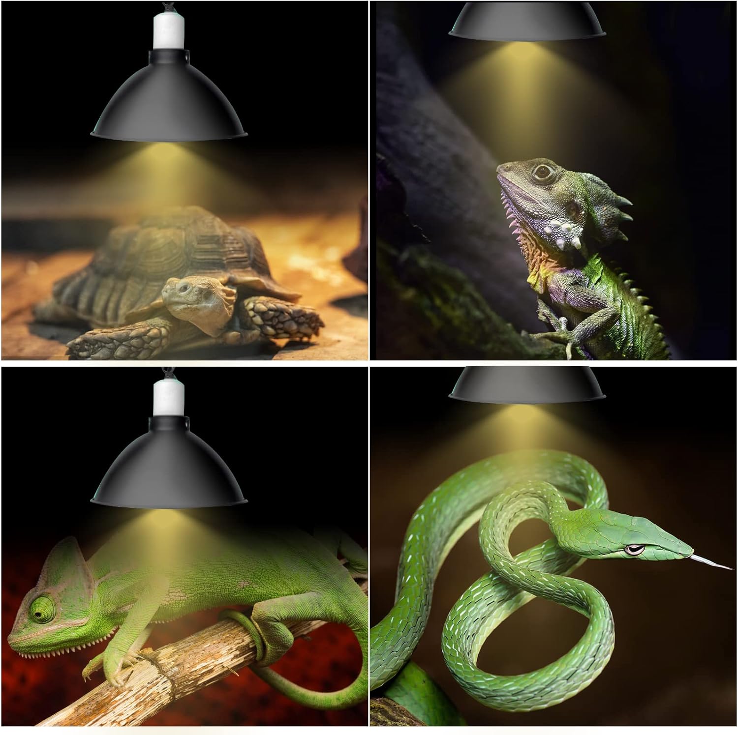 Adjustable Reptile Lamp Stand Floor Light Holder, Hook Hanging Heat Lamp for Reptile Amphibian Terrariums Tortoise and Other Cold Blooded Animal Enclosures Glass Terrarium Heating Light (Modern 1)