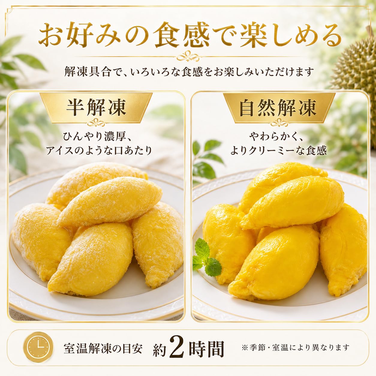 Amazon.co.jp: durian Ri6ドリアン ク冷凍ドリアン ベトナム産 Ri6