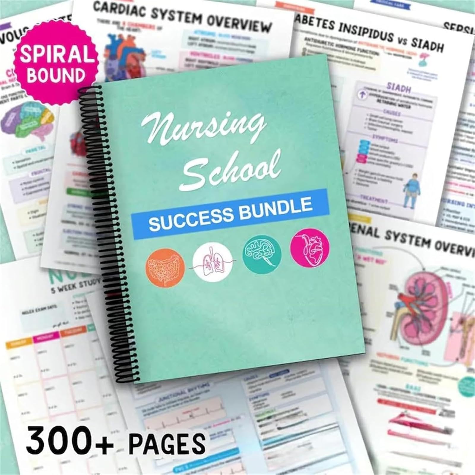 Cahier de notes Success Made Paper Tincasen Nursing School Bundle (2pcs)