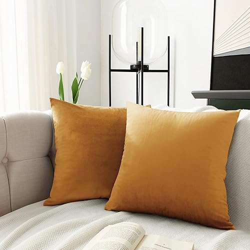 Miniatura 2 de Juego de 2 fundas de almohada decorativas de terciopelo para sala de estar, sofá, dormitorio, fundas de almohada decorativas, 18 x 18 pulgadas,