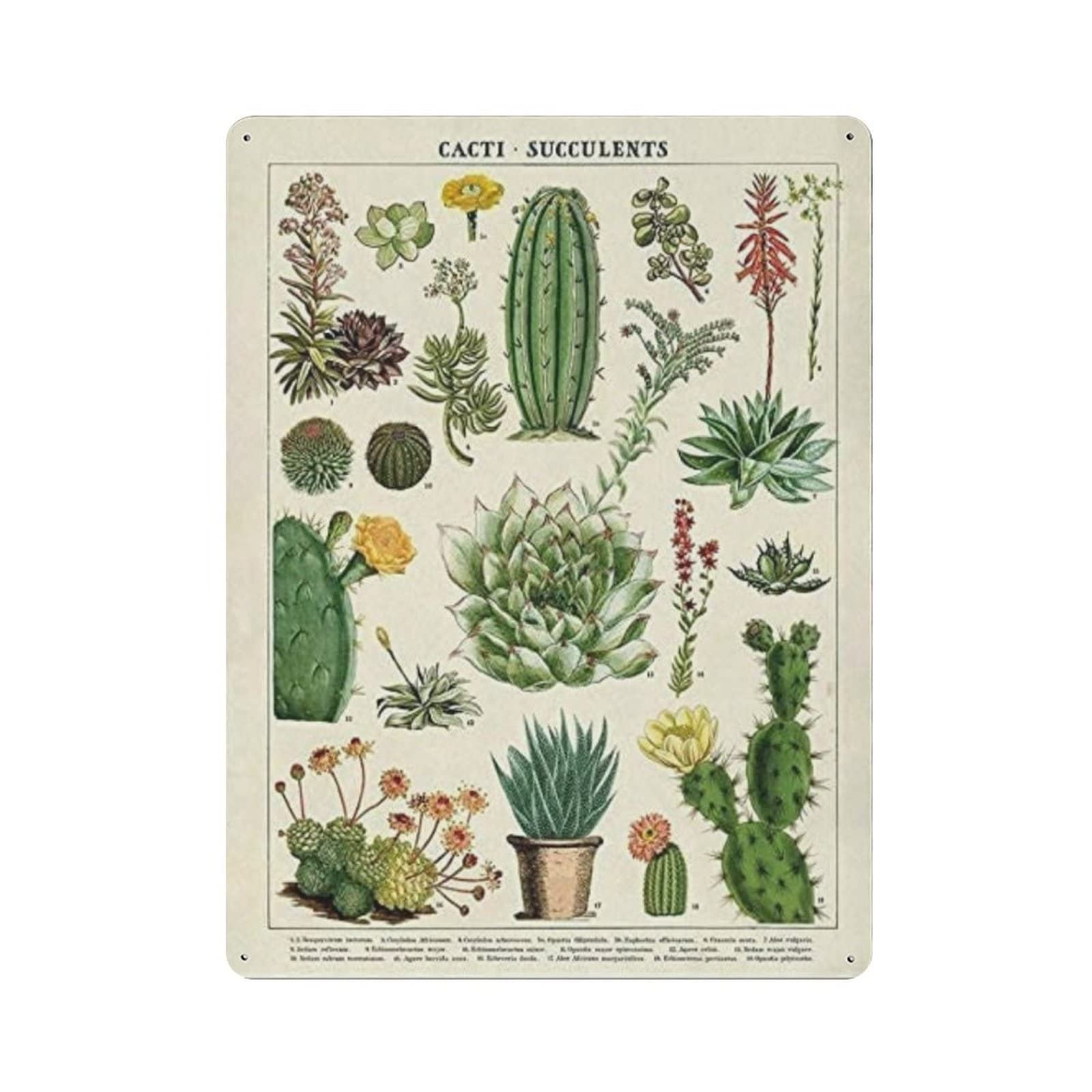 AOOEDM Botanical Cactus Vintage Tin Sign Metal Tin Signs for Man Cave Funny Art Wall Plaque Kitchen Bar Pub Coffee Shop Wall Decor