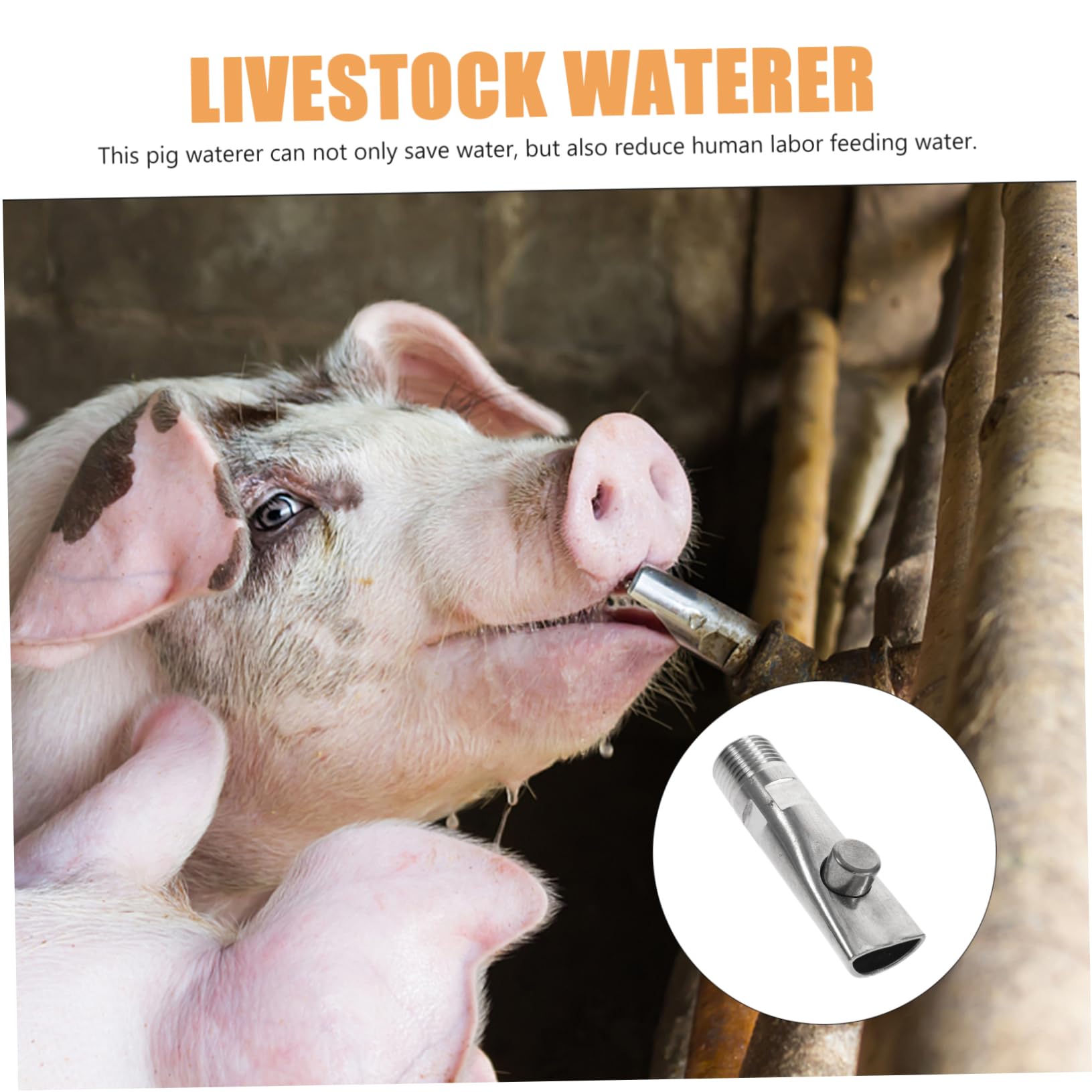 5pièces Abreuvoir Automatique Acier Pour Cochons Distributeur Eau Pour Porcelets Eau Et Travail