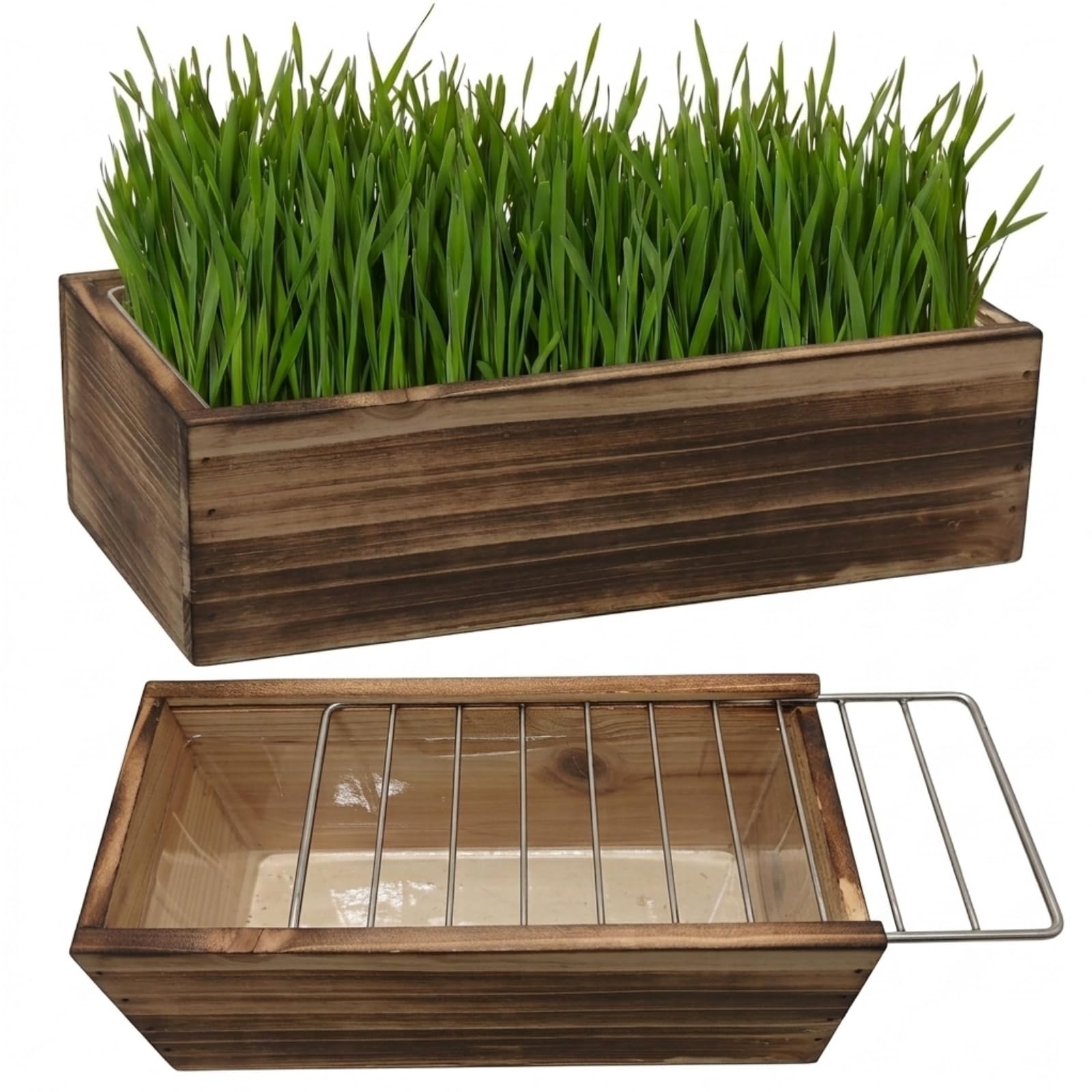 Herbe à chat pour chat d'intérieur – Jardinière en bois avec motif