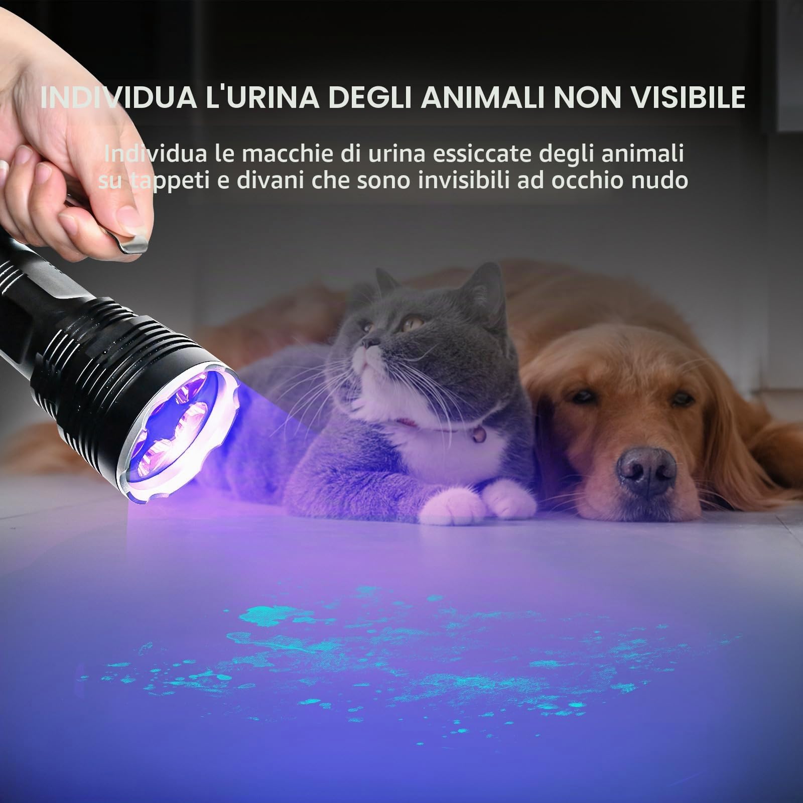 UltraFire Torcia UV 395nm, Luce Ultravioletta ad Alta Potenza da 50W, Lampada UV Portatile a Lungo Raggio per Ricerca di Ambra, Rocce, Caccia agli Scorpioni, Indurimento Resina, Rilevamento Perdite