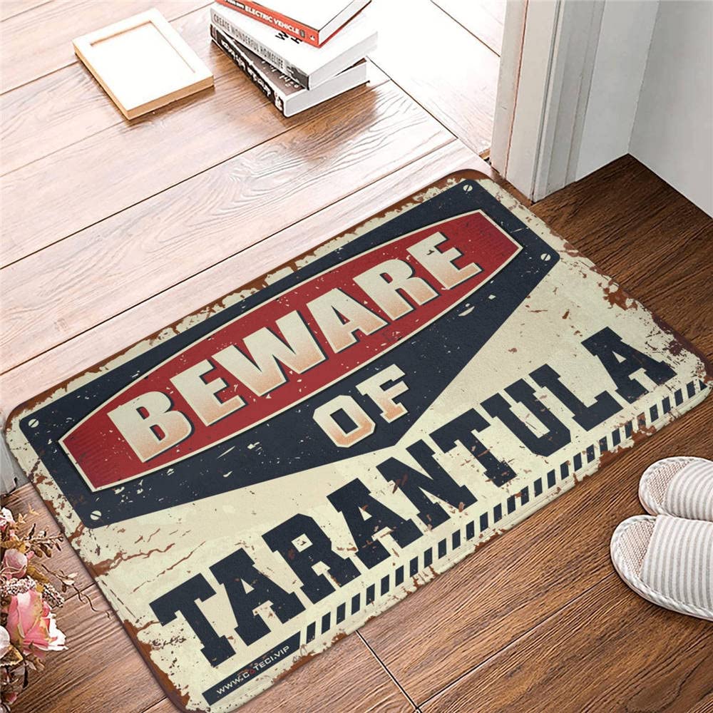 Tapis de porte intérieur COTECI anti-saleté 50x80 pour entrée chambre homme