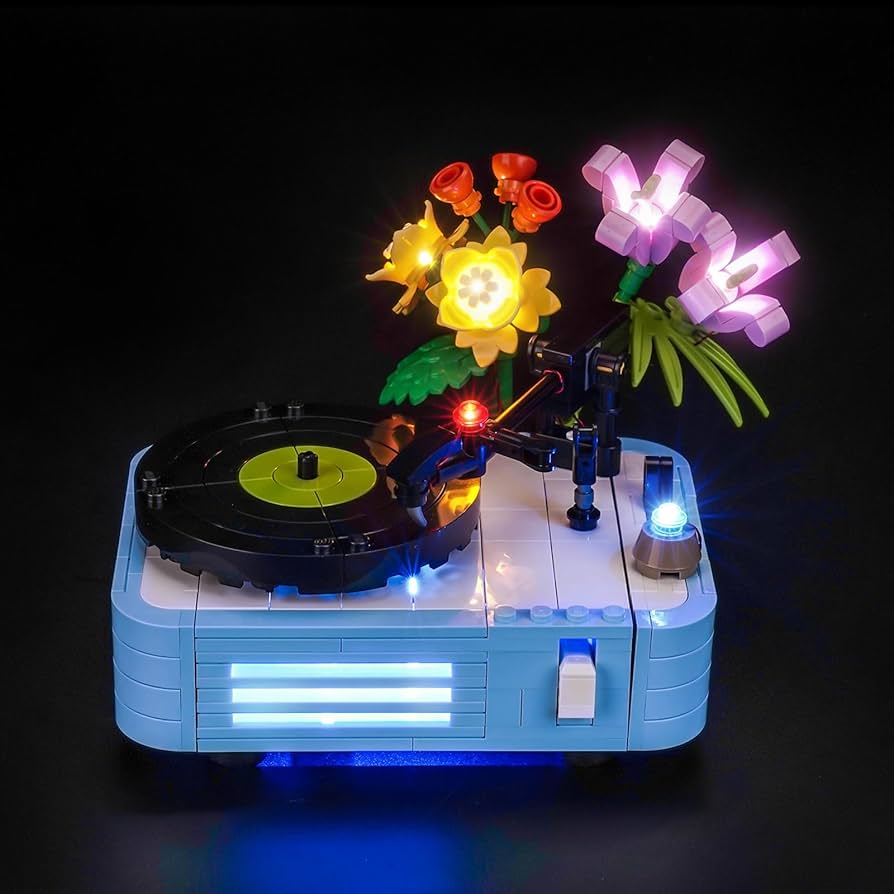 Amazon.com: LocoLee Light kit Compatible with Lego 31172 Record