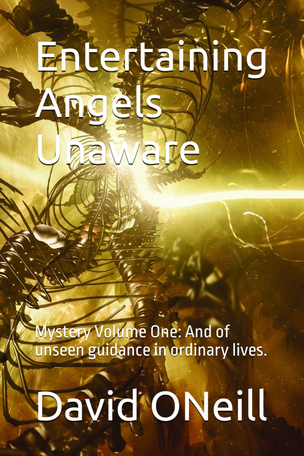 Entertaining Angels Unaware: Mystery Volume One: And of unseen guidance in ordinary lives. (Mystery Encounters Series 1)