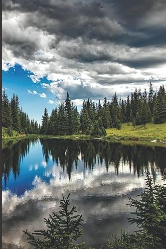 Passwords: Discrete Password Book; Alphabetical Password Book; Password Book for Men; Gift for Men; Password Organizer; Log In Organizer; Alphabetized Passwords Book