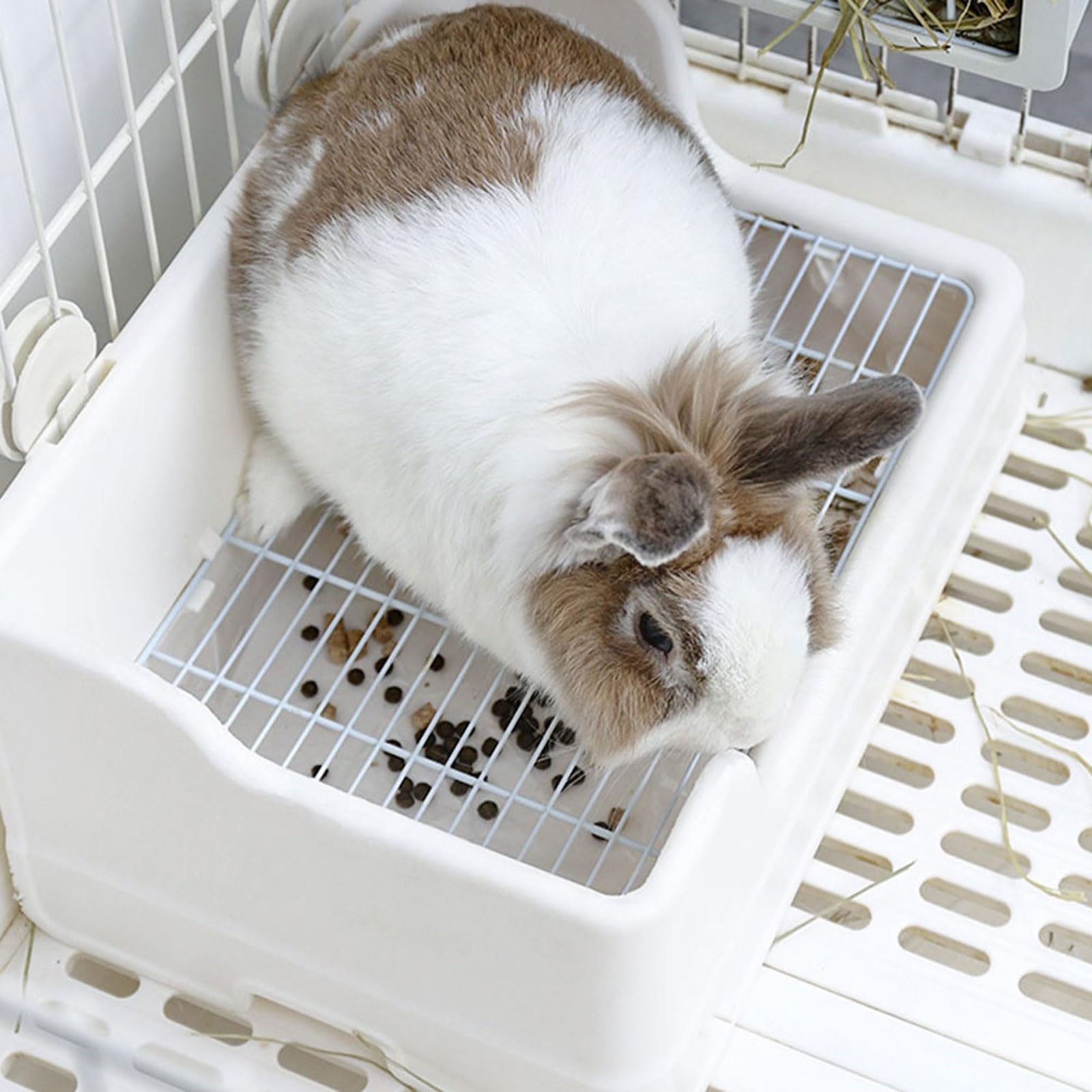 Lettiera per Conigli e Porcellini D'india e Facilità di Pulizia in Plastica Bianco e Struttura Divisa per Addestramento