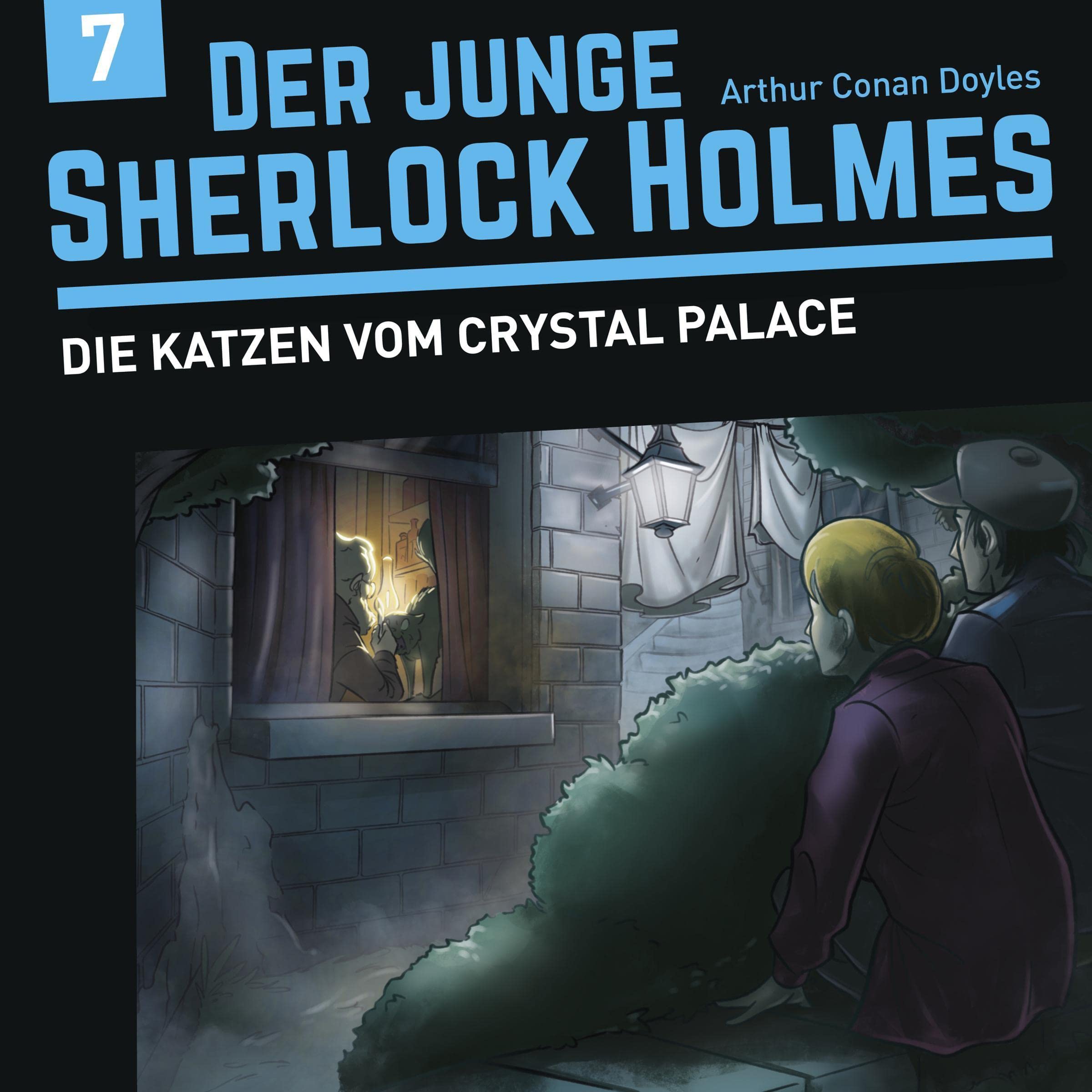Cover art for Die Katzen vom Crystal Palace