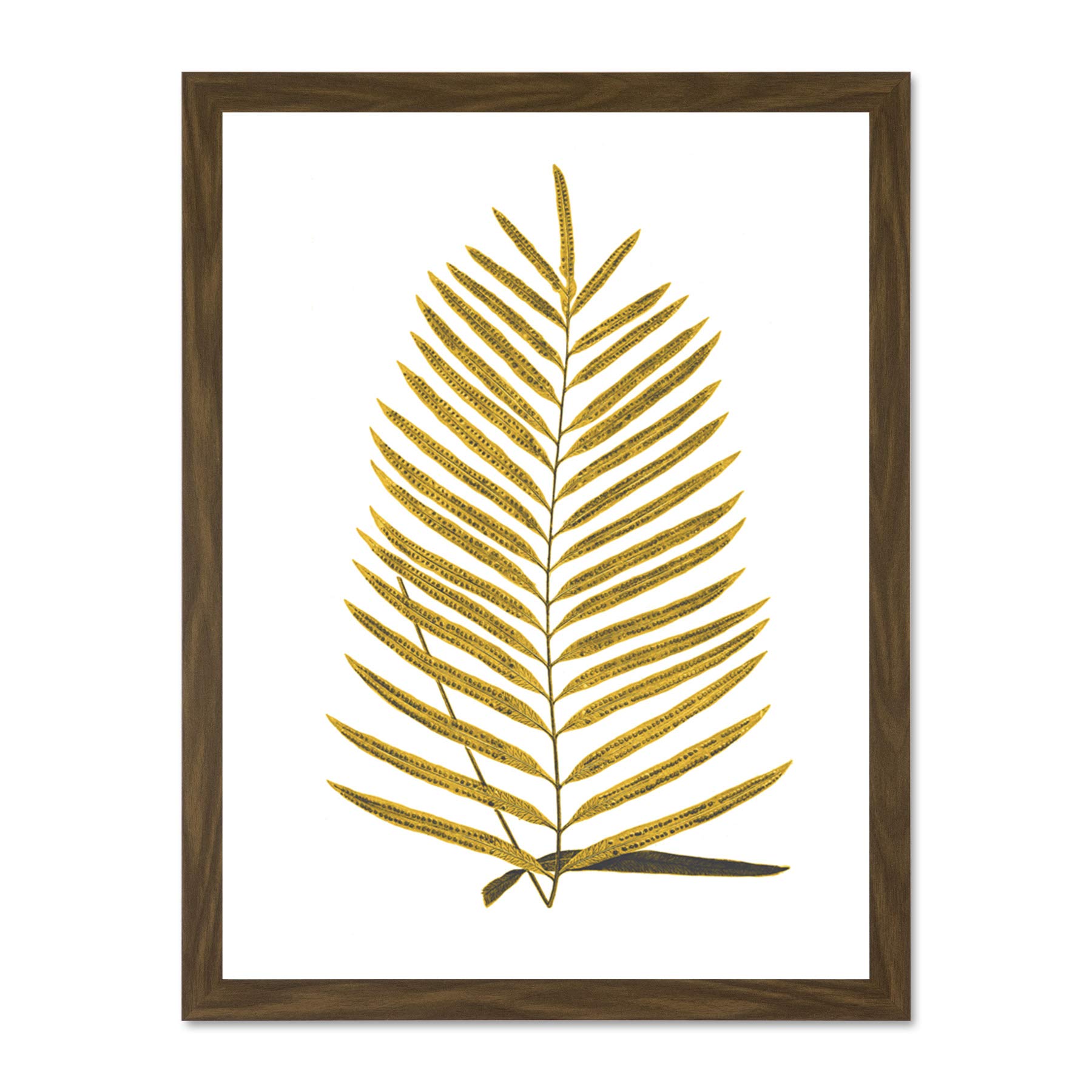 Wee Blue Coo Botanics Gold And Grey Fern Large Brown Framed Art Print Wall Poster 18x24 inch
