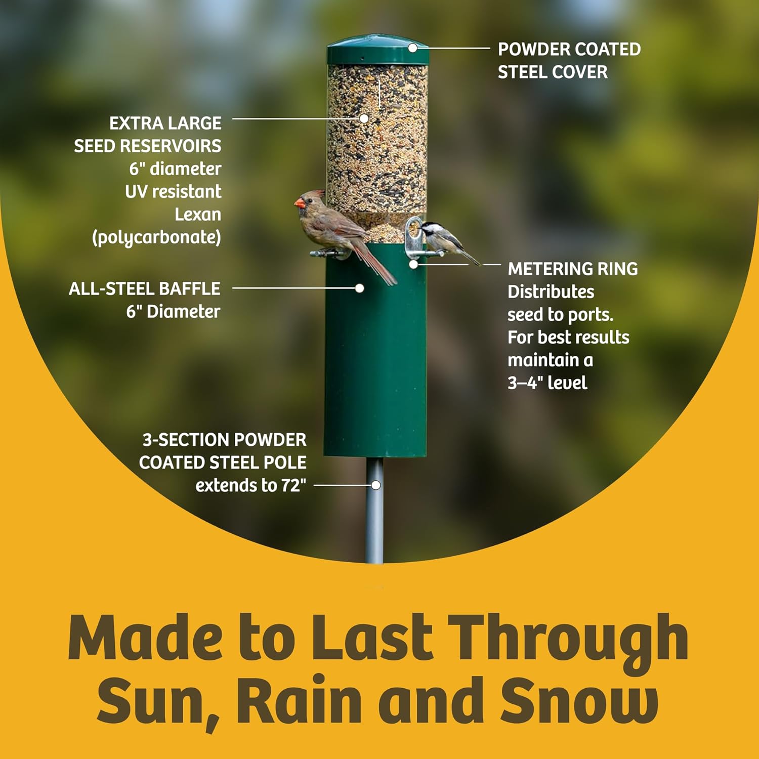 Birds Choice Classic Squirrel Proof Bird Feeder with Pole Mount | Tube Bird Feeder for Cardinals, Chickadees, Woodpeckers | Sturdy Steel for Long-Lasting Use | Backyard Bird Seed Dispenser | Green - Image 7