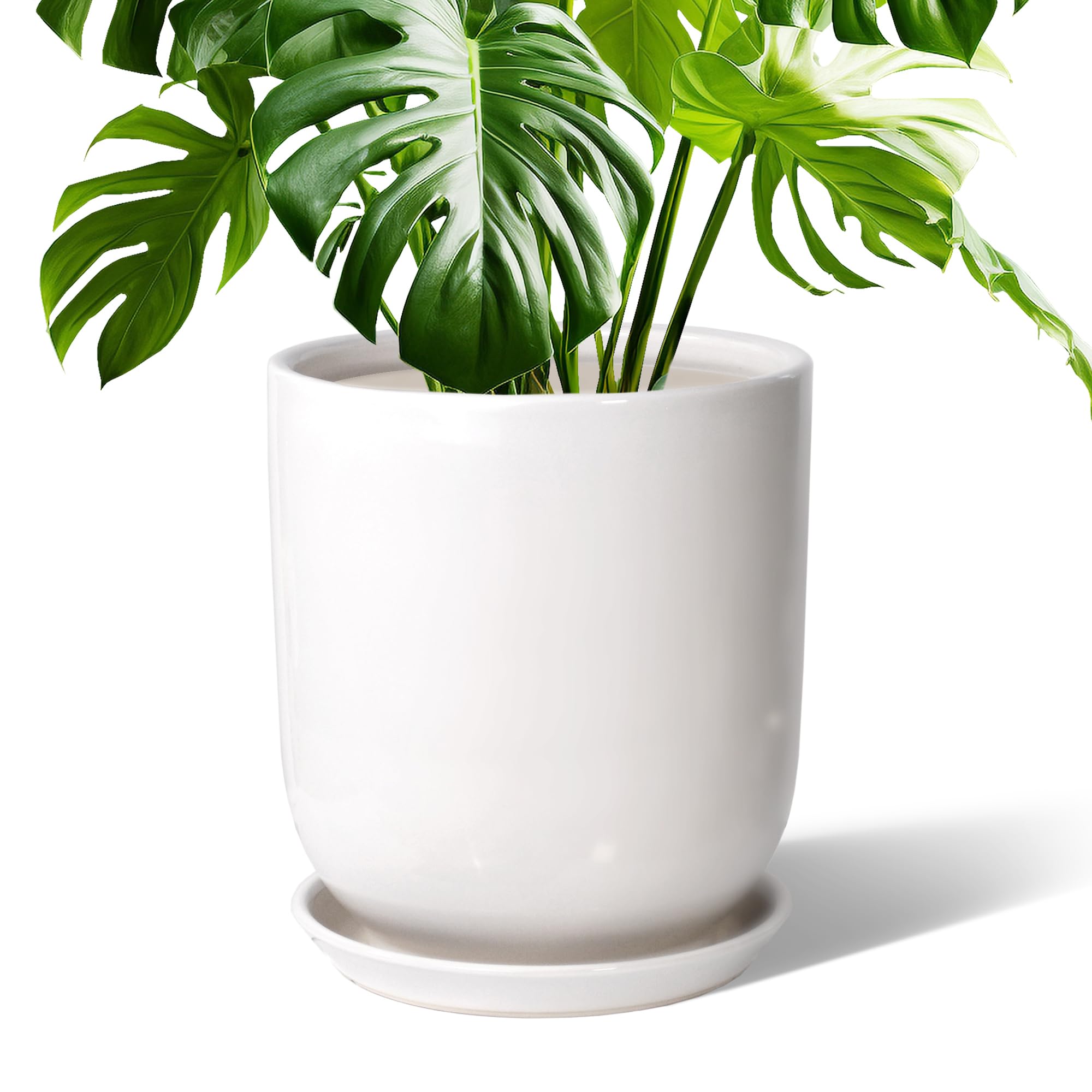 Pot de fleurs en céramique 25cm avec soucoupe pour l'intérieur et l'extérieur