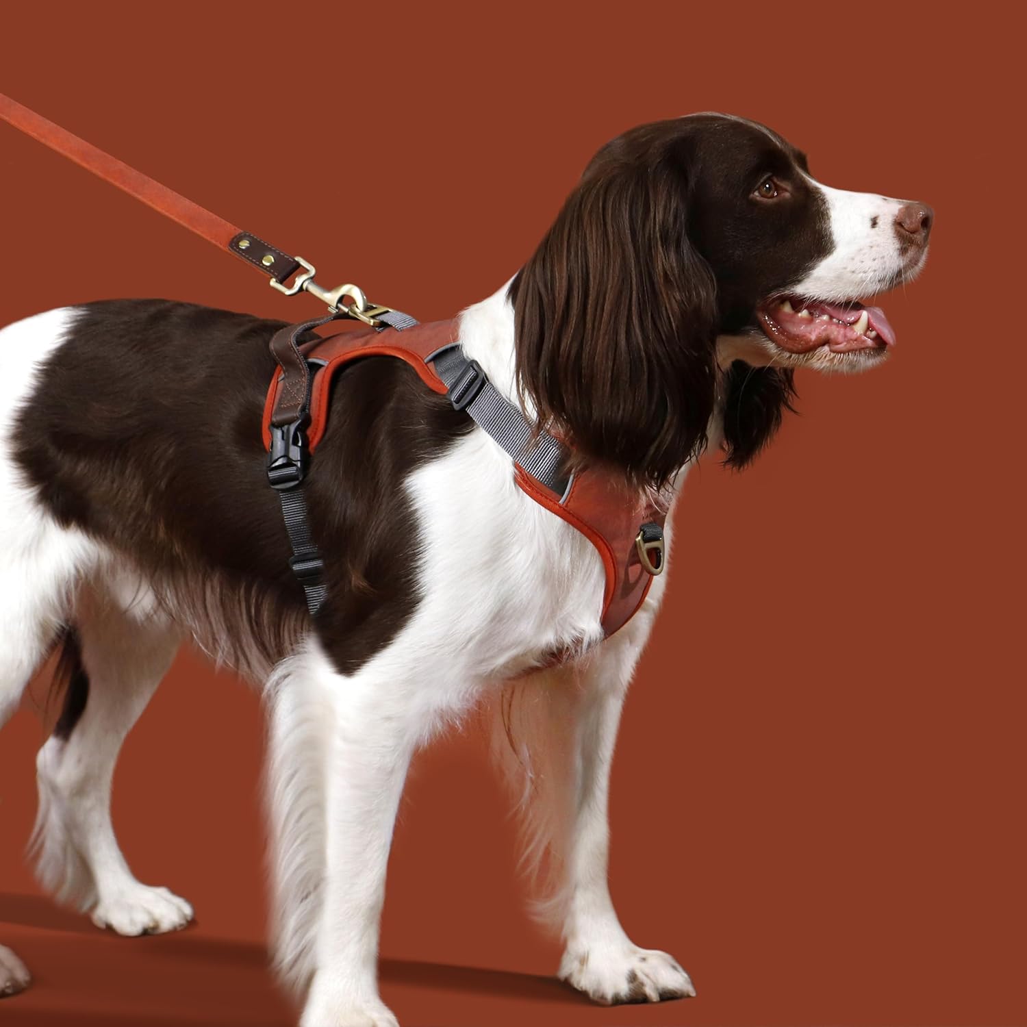No Pull Dog Harness Small Sized Dog,Stylish PU Leather Vest with Easy Control Handle,No Choke Front Clip with 2 Metal Leash Clips,Reflective & Adjustable for Walking,Brown,Chest 19-24"
