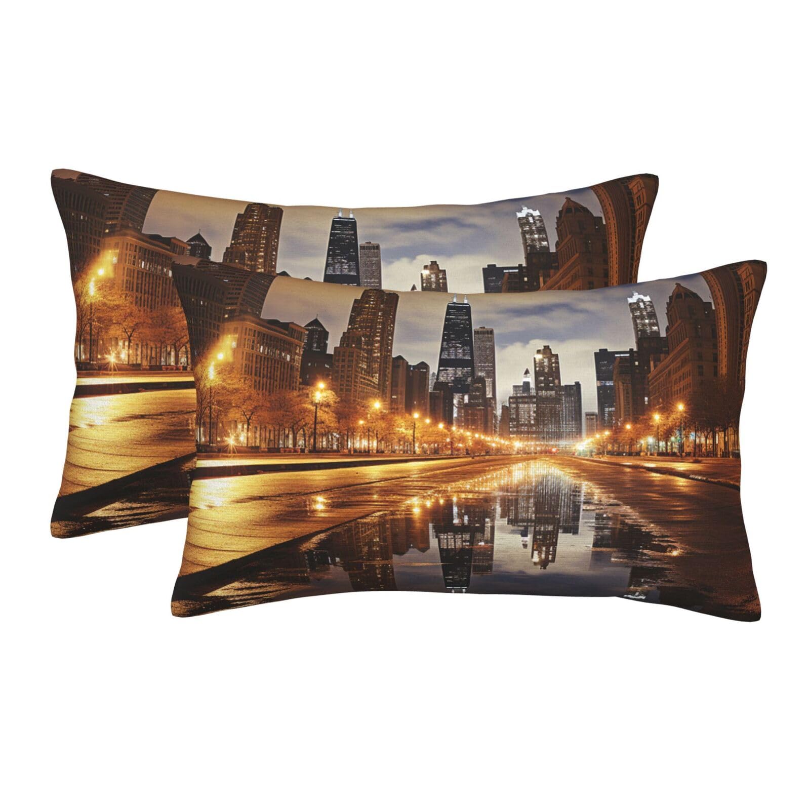 2 Pack Pillow Cases with Hidden Zipper, Soft Breathable Pillow Covers for Hair and Skin, Chicago Pillowcases 20"x30" Bed Pillow Protectors Cover for Sleeping Gifts