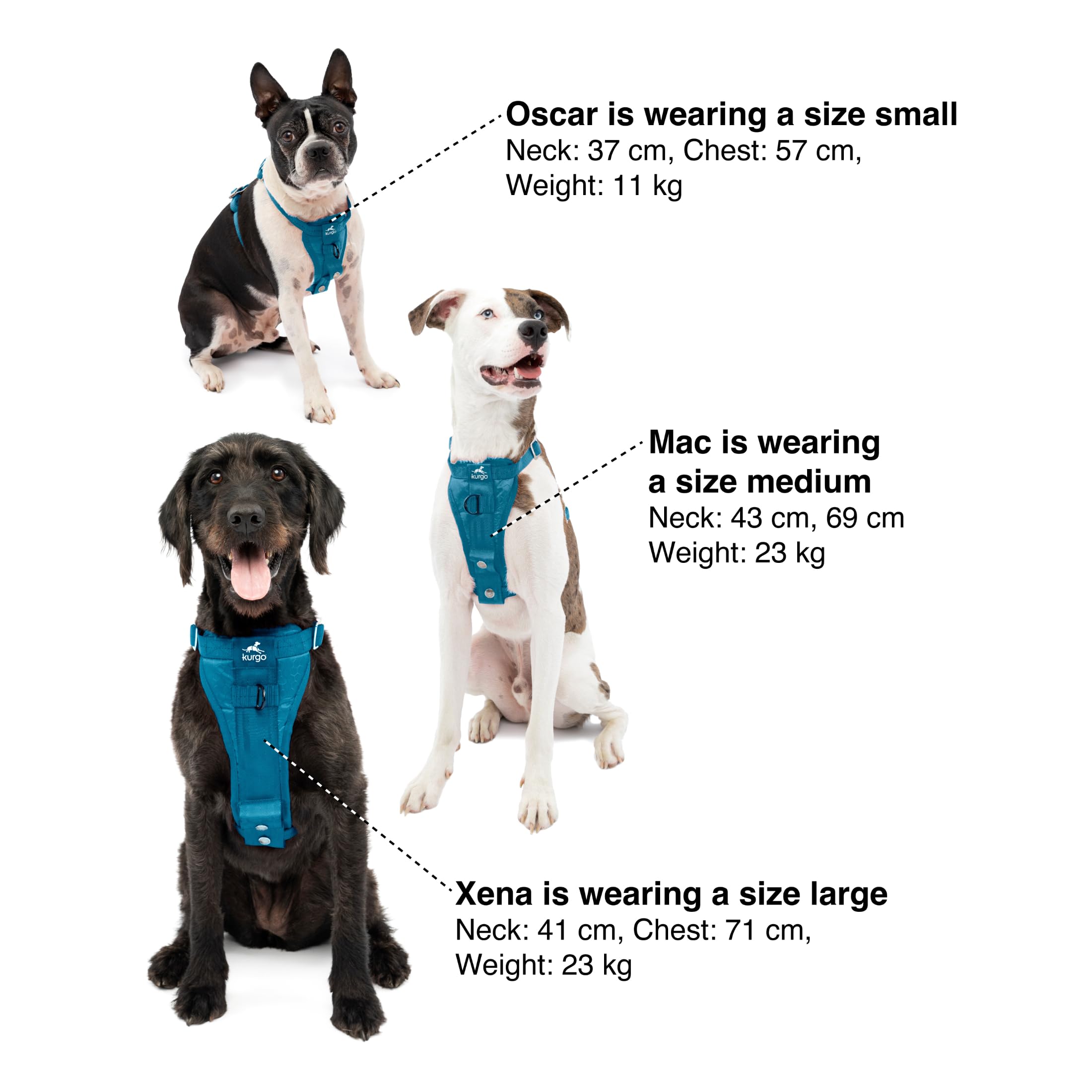 Kurgo Enhanced Strength Tru-Fit Dog Car Harness - Pet Travel Safety Harness - Crash Test Certified Fit - Five Point Adjustment - Secure Buckle - Padded Chest - Ink Blue - Large - image 5