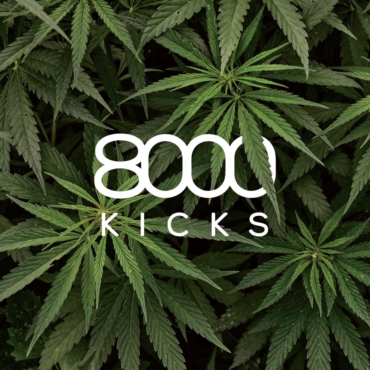 8000Kicks Everyday Hemp Backpack - Lightweight and Weatherproof Backpack for Work and Travel with Anti-theft pocket and Spacious Interior (Black)