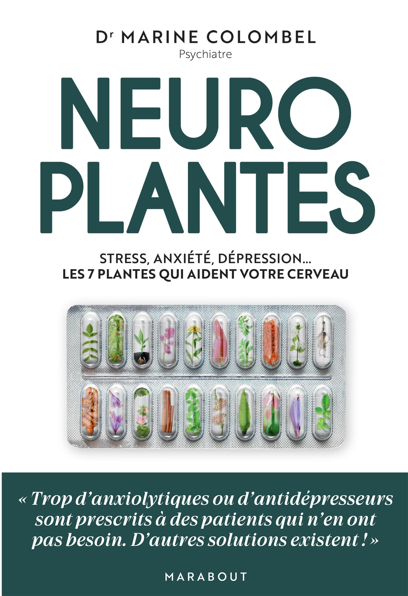 Neuroplantes: Stress, anxiété, dépression... Les 7 plantes qui aident votre cerveau