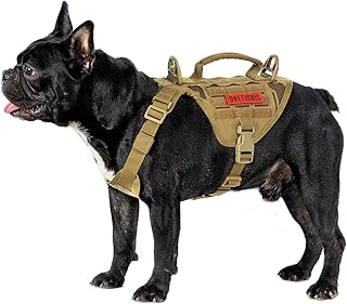frenchie harness amazon