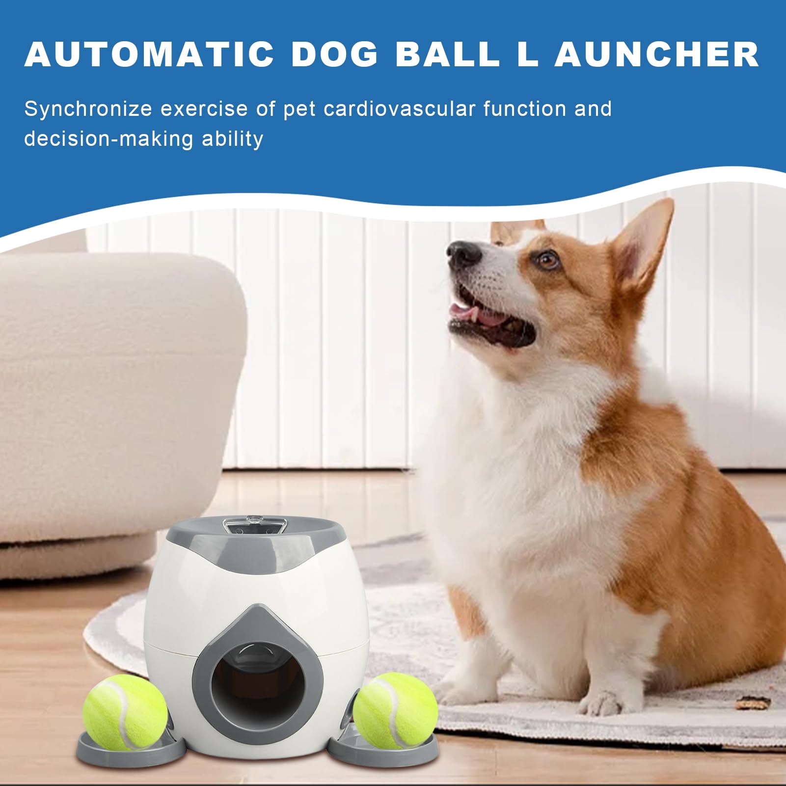 Automatique lanceur de balle pour chiens - Lance-balle interactif avec stimulation mentale