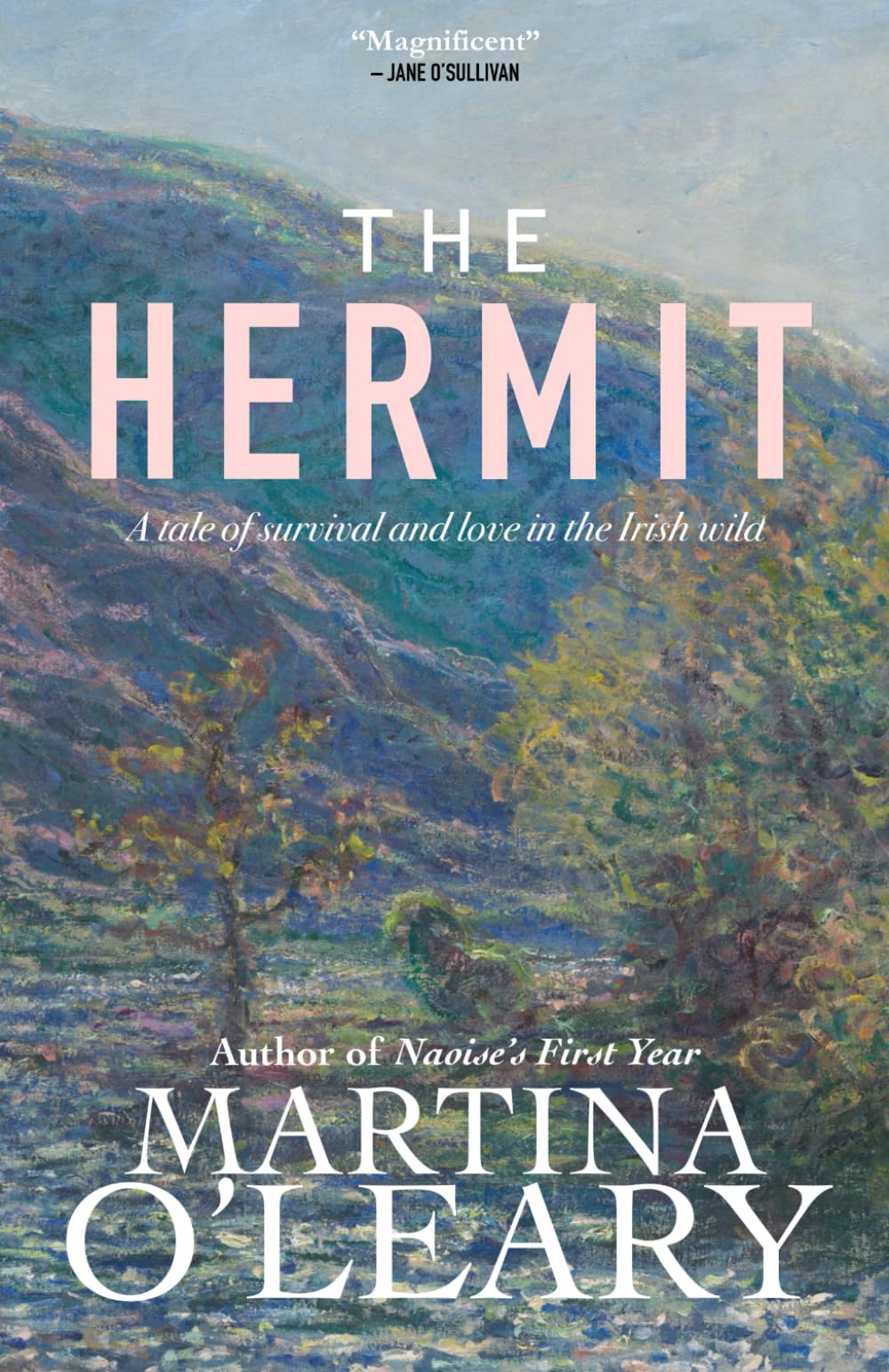 The Hermit: A tale of survival and love in the Irish wild