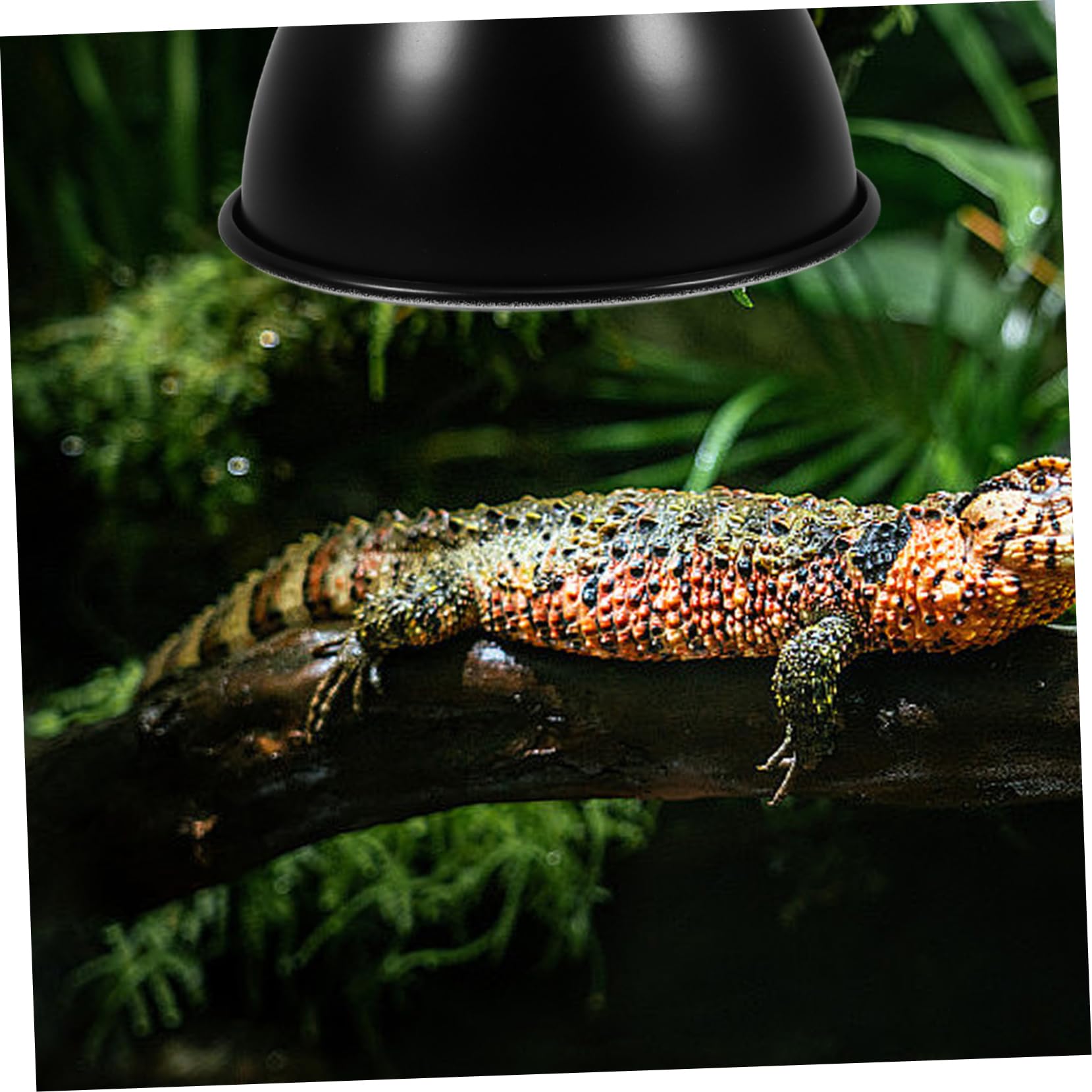 2Er-Box Reptilien lampen Schirm Beleuchtungsschirm für Reptilienhabitate UVB-Lampe Reptilienlampenschirm Reflektorlampe für Reptilien Lampenschirm für Reptilienbecken Eisen Black