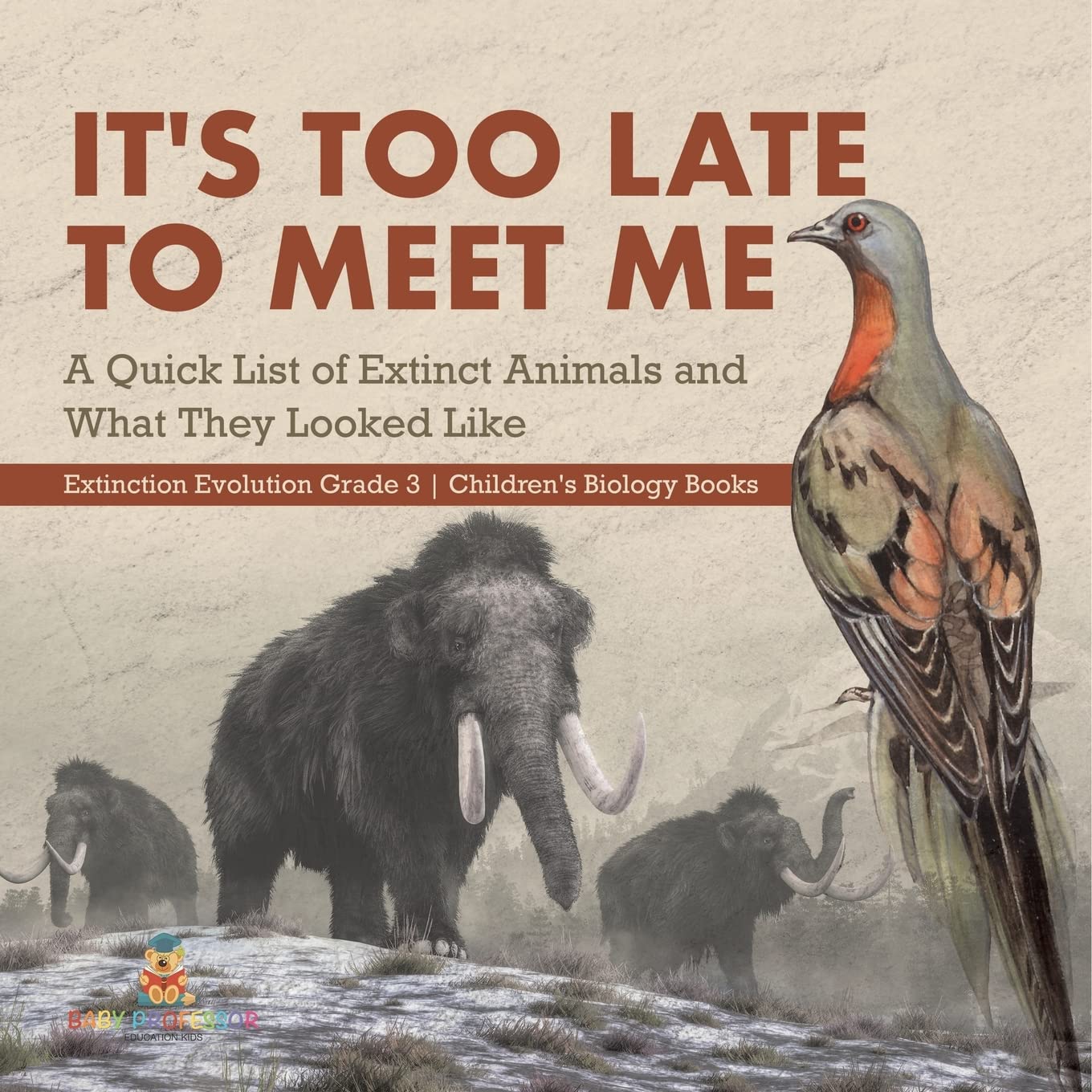 It's Too Late to Meet Me : A Quick List of Extinct Animals and What They Looked Like | Extinction Evolution Grade 3 | Children's Biology Books